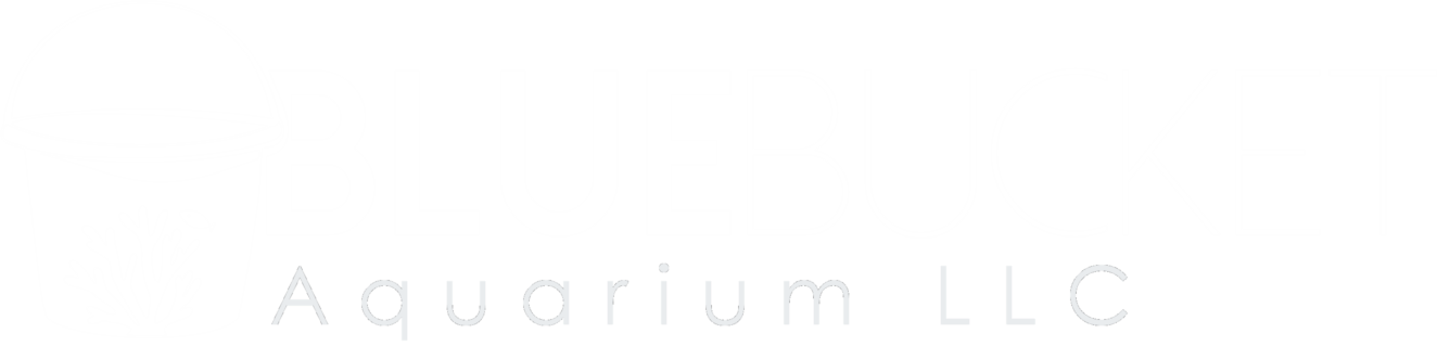 BlueBucket Aquarium LLC